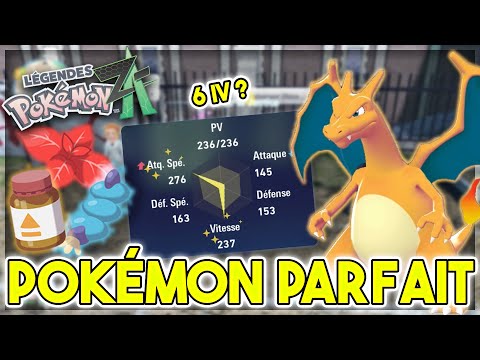 How to EQUIP a PERFECT Pokémon from A to Z in Pokémon Legends Z-A! (EVs, IVs, nature...)