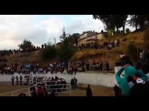 En Vivo Billete Verde en Mimbres  El jarocho y el Canelo 2014