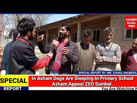 #InAsham: Dogs Are Sleeping In Primary School Asham: Appeal ZEO Sumbal
