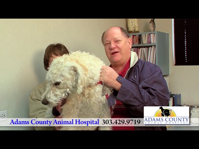 Adams County Animal Hospital Of Arvada-Westminster - Arvada, CO