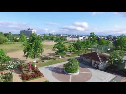 【ひこにゃん空中散歩】庄堺公園 雨上がりのバラ園