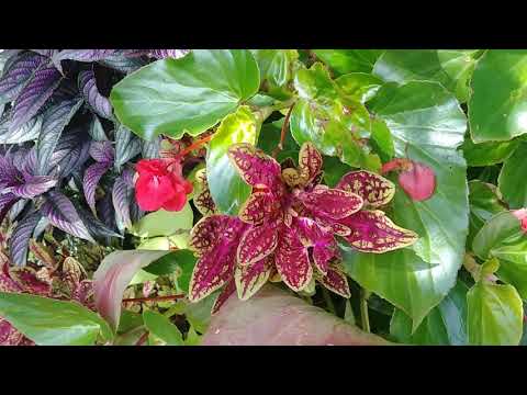 August 05 Daily Horoscope: Anything Can Happen - Honest Astrology