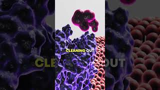 FASTING and PARASITES--Will it help?