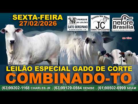 Leilão Especial, Combinado-TO, Sexta-Feira, 27/02, (63)99202-1168 (63)99129-0564 (61)98502-6999