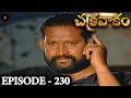 Episode 230 Chakravakam Telugu Daily Serial