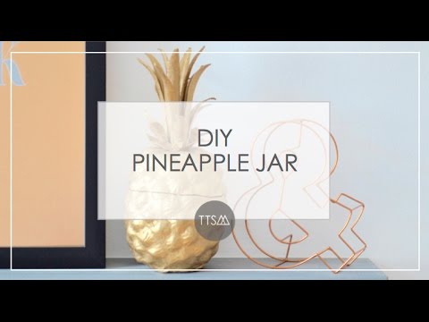download lagu mp3 mp4 Pineapple Jar Gold, download lagu Pineapple Jar Gold gratis, unduh video klip Pineapple Jar Gold