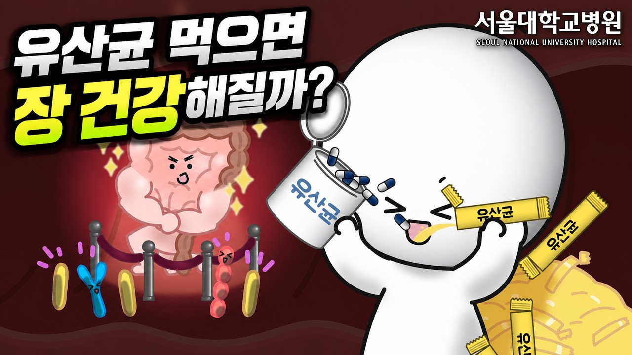 유산균 먹으면 장 건강해질까…서울대병원이 밝힌 프로바이오틱스의 진실