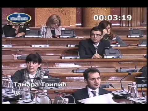 Tamara Tripić u Skupštini o potvrđivanju konvencije o sprečavanju nasilja u porodici