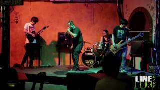 Linebox Live | Amana  - Jesus Lizard