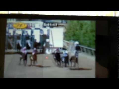 Steve Bourmas aka  LaserMan and Blind Luck watching Delaware Handicap at Del Mar