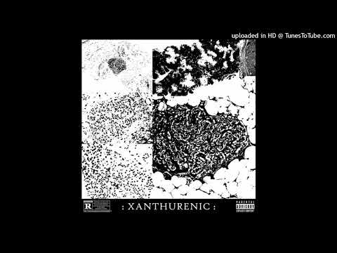 DISTORTED TRAP METAL | "XANTHURENIC" | (PROD. 𝐗𝐀𝐍𝐓𝐇𝐔𝐑𝐄𝐍𝐈𝐂)