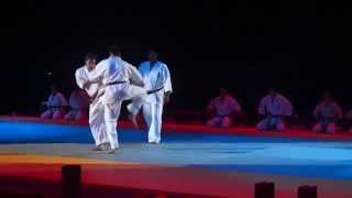 KARATE KYOKUSHIN - Festival des Arts Martiaux - Nouvelle Calédonie