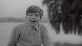 Heintje - Schwalbenlied Clip