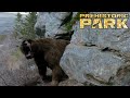 Cave Bear Chase Prehistoric Park 2006 Ep 6
