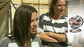 Meet The Chain Gang Burying The Dead