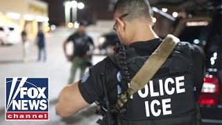 DETAILS: Soleimani's niece trying to get out of ICE custody