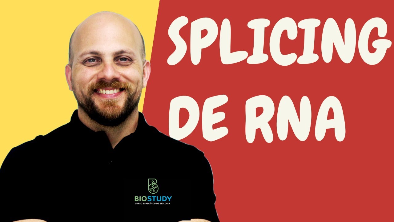 o que é o splicing? Enem | biologia | genética