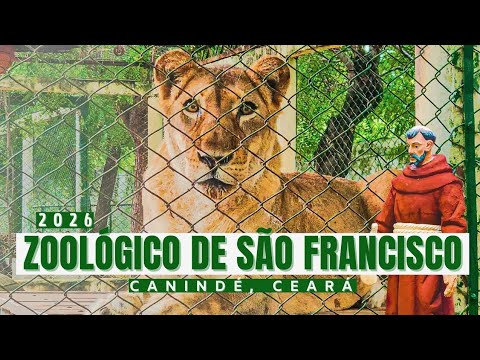 ZOOLÓGICO DE SÃO FRANCISCO EM CANINDÉ-CEARÁ, NORDESTE – PASSEIO COMPLETO (2026)
