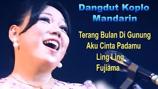 Download lagu DANGDUT KOPLO MANDARIN ; COVER BY : KARINA AMOY mp3
