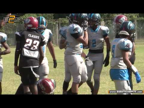 B2C: #1 Atlanta Panthers vs RC Crimson Tide | 12U DIV