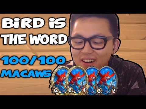 BEST CARRY UNIT? BIRD IS THE WORD! - Hearthstone Battlegrounds