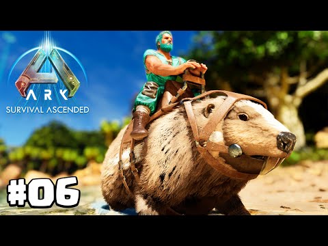 NUNCA MAIS VAI FALTAR MADEIRA! CASTOR DOMADO - ARK: SURVIVAL ASCENDED - THE ISLAND #06