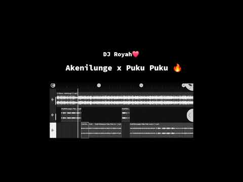 DJ Royah - Akenilunge x Puku Puku (Hype Edit) 2025