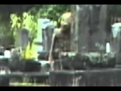 Alien caught in graveyard Video
