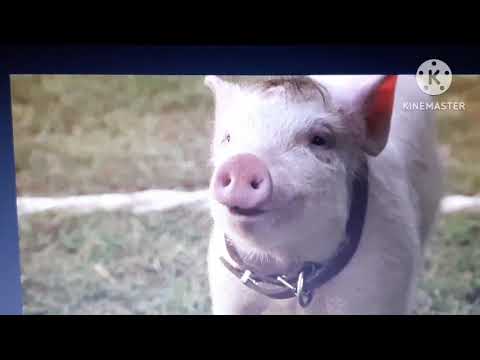 Characters Inc (Monaguebilly785's Style) part 16 - The Wrong Door/Babe on the Run