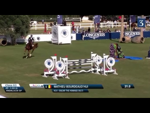 Vie de Homage's brother 'Oscar de Homage' winning the CSIO*** in Sunshine Tour