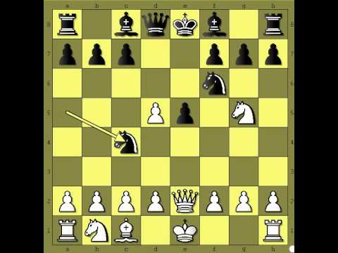 Kako matirati protivnika - AMINI vs GRALLA - Otvaranje Lovcem  # 383