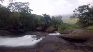 somewhere deep in the forest!