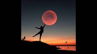 cachita   ricardo montaner - letra