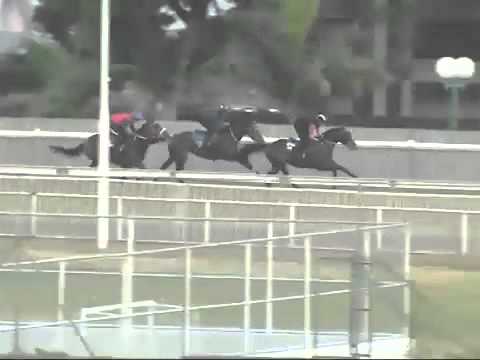 Barrier Trial 3rd june 2014 at 6:15am - BloodBucaneer, DoubleGrip, SouthernTaste