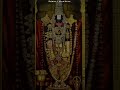 Love Govindagovinda Song Venkateswarasongs Govindaharigovinda Lordvenkateswarasongs Venkatesw