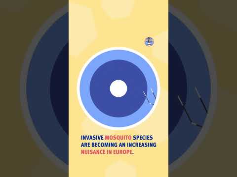 TRAILER: Invasive mosquitos colonising Europe - what can we do?