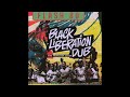Psychological Warfare (Mad Professor Cover) - Flash 80