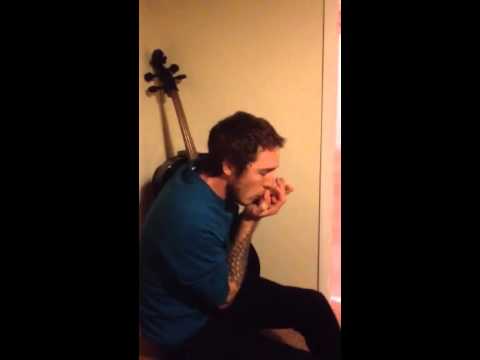 steve beat boxing on his harmonica