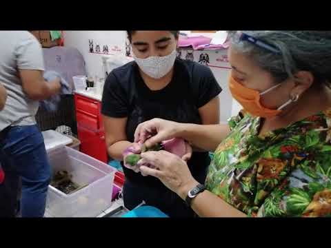 Wildlife Rescue and Rehabilitation