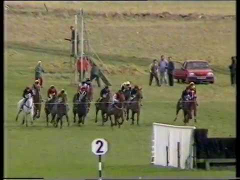 1987 Steel Plate & Sections Young Chasers Qualifier (Novices' Chase)
