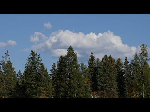 indie folk type instrumental “further apart”