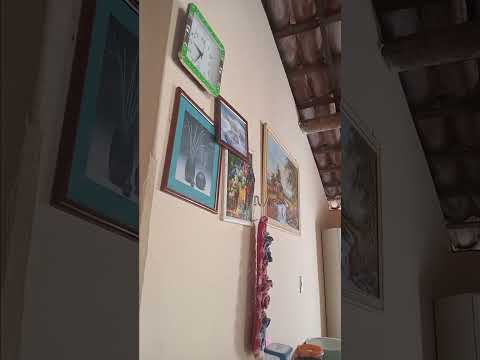 Geminiano Piauí vovô joão são os bom (2026)