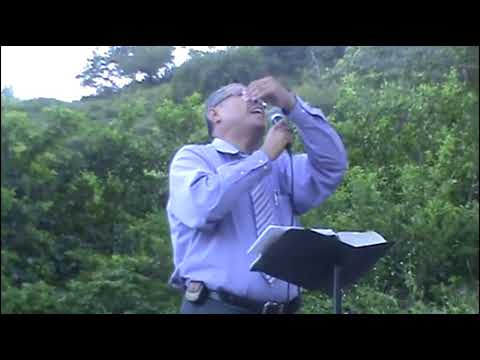 DAVID VIERA ''7 Copas embestida final'' ~ SAN RAFAEL LEMPA ~