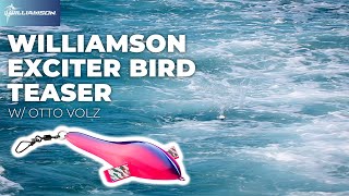 Download lagu Cara Menggunakan WILLIAMSON EXCITER BIRD mp3 Download lagu Cara Menggunakan WILLIAMSON EXCITER BIRD mp3