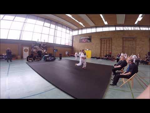 International German Open in 2020 WMAC -- traditional karate forms - participants unknown