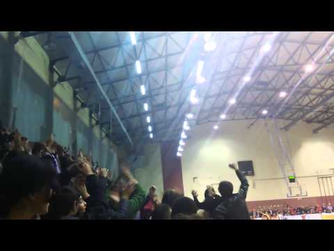 Sinjski Maligani: šibenske pičke