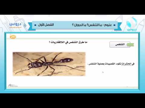 السادس الابتدائي | الفصل الدراسي الأول 1438 | علوم | ماالتنفس؟ ماالدوران؟