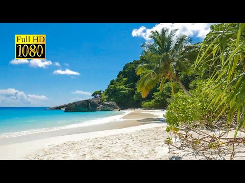 Ocean Sounds for Sleep | White Noise of Waves Crashing on Beach (1 Hours) soft sound