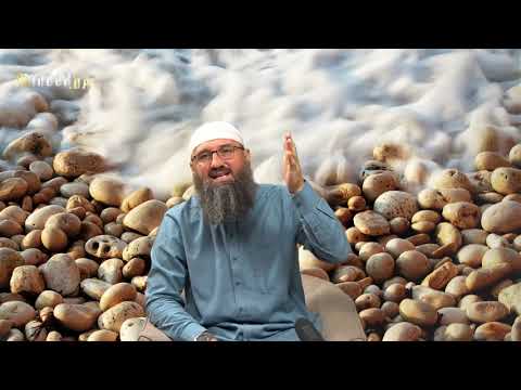 Pitanja i odgovori 13.dio_mr. Elvedin Pezić