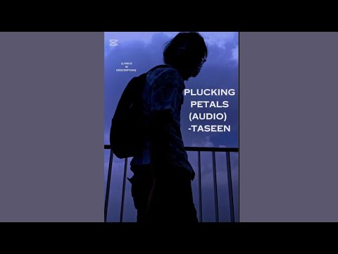 TASEEN - Plucking Petals (Original Song) (Demo) 